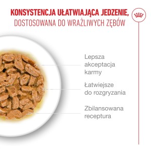 ROYAL CANIN Ageing 15+ karma mokra, kawałki w sosie, dla kotów dojrzałych po 15 roku życia
