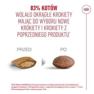 ROYAL CANIN Ageing 11+ karma sucha dla kotów dojrzałych po 11 roku życia