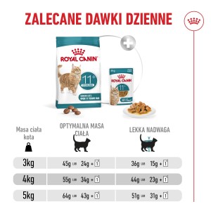 ROYAL CANIN Ageing 11+ karma sucha dla kotów dojrzałych po 11 roku życia