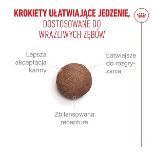 ROYAL CANIN Ageing 15+ karma sucha dla kotów dojrzałych po 15 roku życia