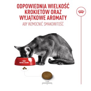 ROYAL CANIN Exigent Fussy karma sucha dla kotów dorosłych, wybrednych
