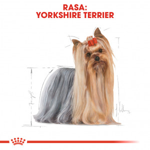 ROYAL CANIN Yorkshire Terrier Adult karma sucha dla dorosłych psów rasy yorkshire terrier