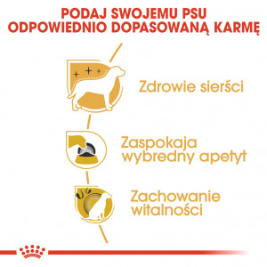 ROYAL CANIN Yorkshire Terrier Adult karma sucha dla dorosłych psów rasy yorkshire terrier