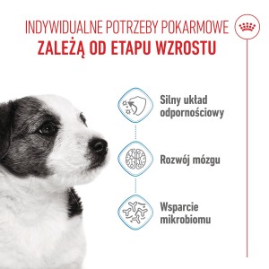 ROYAL CANIN Mini Puppy karma sucha dla szczeniąt ras małych, od 2 do 10 miesiąca życia
