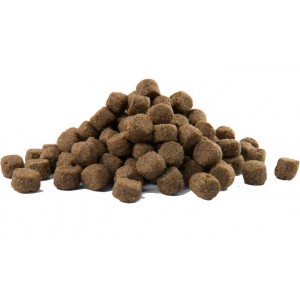 VERSELE-LAGA Opti Life Prime Adult Salmon