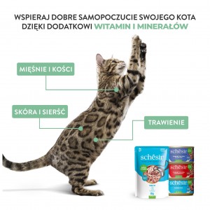 SCHESIR karma mokra dla kotów tuńczyk z sardynkami w galarecie 140 g (puszka)