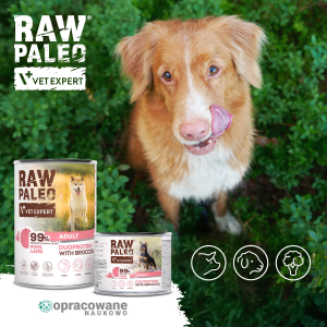 RAW PALEO Pork & Lamb Adult Can mokra karma dla psów dorosłych duoproteina wieprzowina z jagnięciną (puszka)