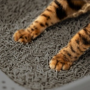 VELVET PAW Tofu żwirek ekologiczny z węglem bambusowym herbatą oolong i kwiatem wiśni 6l