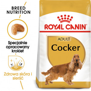 ROYAL CANIN Cocker Spaniel Adult karma sucha dla psów dorosłych rasy cocker spaniel