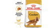 ROYAL CANIN BHN Cocker Adult 25 12kg PROMO Uszkodzenie