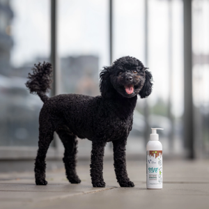 VETEXPERT Detox Care Deep Dark Shampoo szampon dla psów i kotów o ciemnym ubarwieniu sierści 250 ml