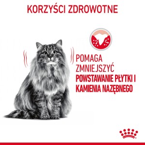 ROYAL CANIN Oral Care karma sucha dla kotów dorosłych, redukująca odkładanie kamienia nazębnego