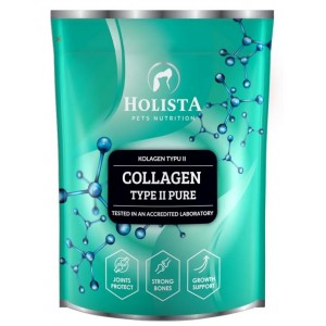 HOLISTA Collagen Type II PURE