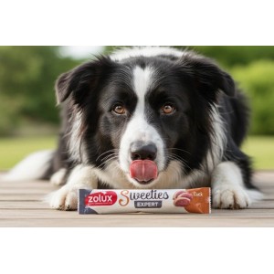 ZOLUX Przysmak kremowy dla psa SWEETIES z kaczką 14 g
