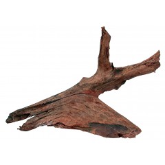 ZOLUX Ozdoba do akwarium korzeń Mangrowca 25-40 cm