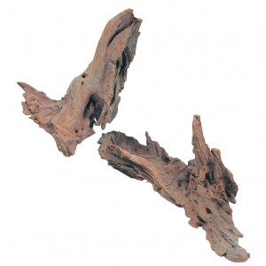 ZOLUX Ozdoba do akwarium korzeń Mangrowca 25-40 cm