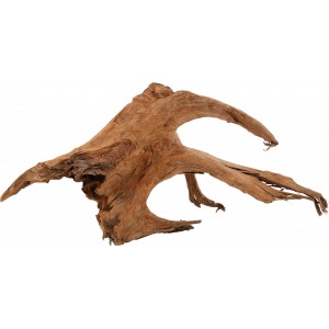 ZOLUX Ozdoba do akwarium korzeń Mangrowca 40-60 cm