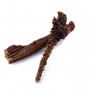 MACED Żwacze wołowe na lepsze trawienie 100g