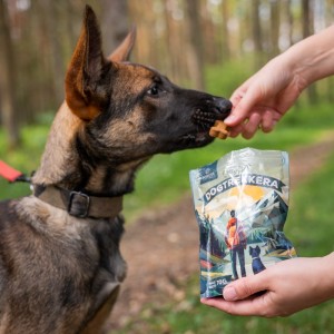 POKUSA Ciastka Dogtrekkera 70g