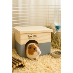 ZOLUX Domek drewniany Home Color prostokątny M 150 x 235 x 185mm