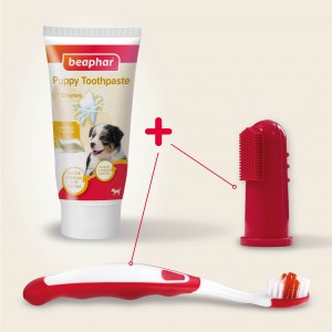 BEAPHAR Puppy Dental Kit - zestaw (pasta + szczoteczki)