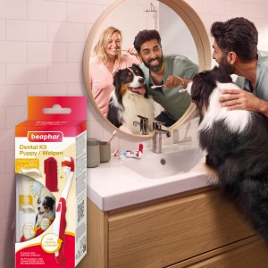 BEAPHAR Puppy Dental Kit - zestaw (pasta + szczoteczki)