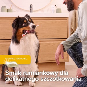 BEAPHAR Puppy Dental Kit - zestaw (pasta + szczoteczki)