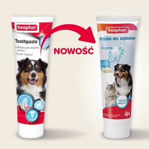 BEAPHAR Pasta do zębów dla psa i kota o smaku mięsa 100g