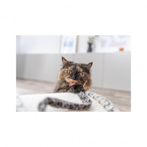 TRIXIE Leo mostek do drapania dla kota kremowy 25cm