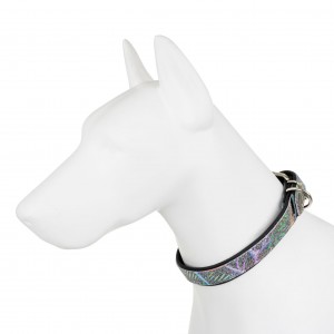 BARRY KING Obroża dla psa La Fleur