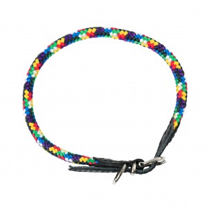 BARRY KING Obroża dla psa z klamrą - multikolor