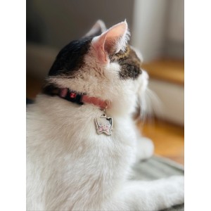 ZOLUX Obroża dla kota z zawieszką w kształcie kota Chatouille różowa