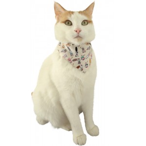 ZOLUX Obroża dla kota z bandaną wzór koty i myszy Chatouille