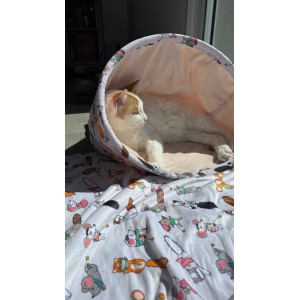 ZOLUX Legowisko dla kota pled wzór koty i myszy Chatouille 152,5x74cm