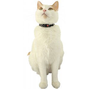 ZOLUX Obroża dla kota z zawieszką w kształcie myszy Chatouille - czarna