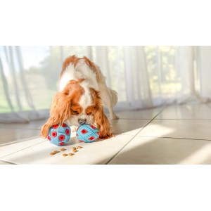 ZOLUX Zabawka dla psa do aportowania na przysmaki jajko 8cm