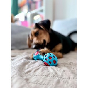 ZOLUX Zabawka dla psa gryzak na przysmaki hantel 13cm