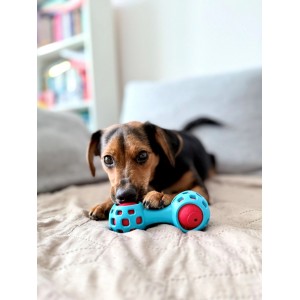 ZOLUX Zabawka dla psa gryzak na przysmaki hantel 13cm