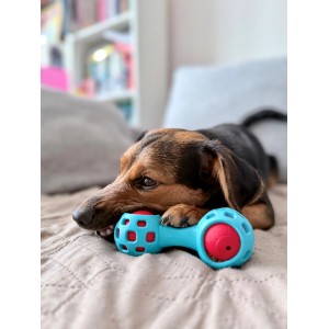 ZOLUX Zabawka dla psa gryzak na przysmaki hantel 13cm