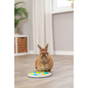 TRIXIE Zabawka - Gra Smakula dla królika