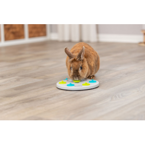TRIXIE Zabawka - Gra Smakula dla królika