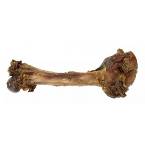 ONERS Kość z Dzika Mała (15-20cm)