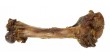 ONERS Kość z Dzika Mała (15-20cm)
