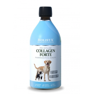 HOLISTA Collagen Forte 500ml