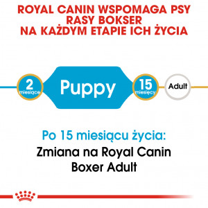 ROYAL CANIN Boxer Puppy karma sucha dla szczeniąt do 15 miesiąca, rasy bokser