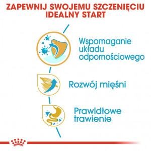 ROYAL CANIN Boxer Puppy karma sucha dla szczeniąt do 15 miesiąca, rasy bokser