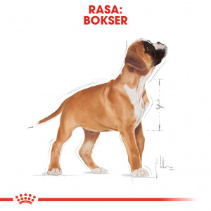 ROYAL CANIN Boxer Puppy karma sucha dla szczeniąt do 15 miesiąca, rasy bokser
