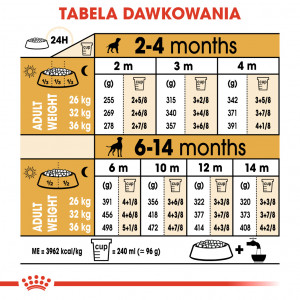 ROYAL CANIN Boxer Puppy karma sucha dla szczeniąt do 15 miesiąca, rasy bokser