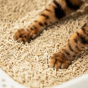 VELVET PAW Tofu żwirek ekologiczny o zapachu zasypki dla dzieci 6l