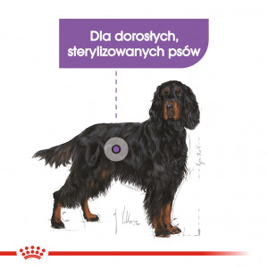 ROYAL CANIN CCN Maxi Sterilised karma sucha dla psów dorosłych ras dużych, sterylizowanych